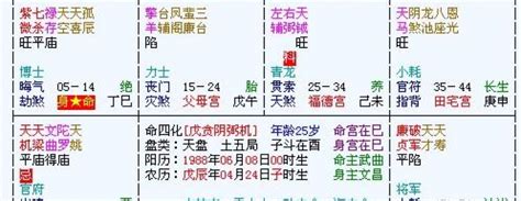 鹹池桃花|元亨利贞网紫微斗数星曜解释